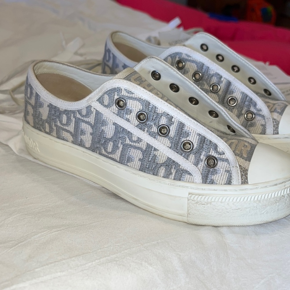 Walk N Dior Sneaker in Grey